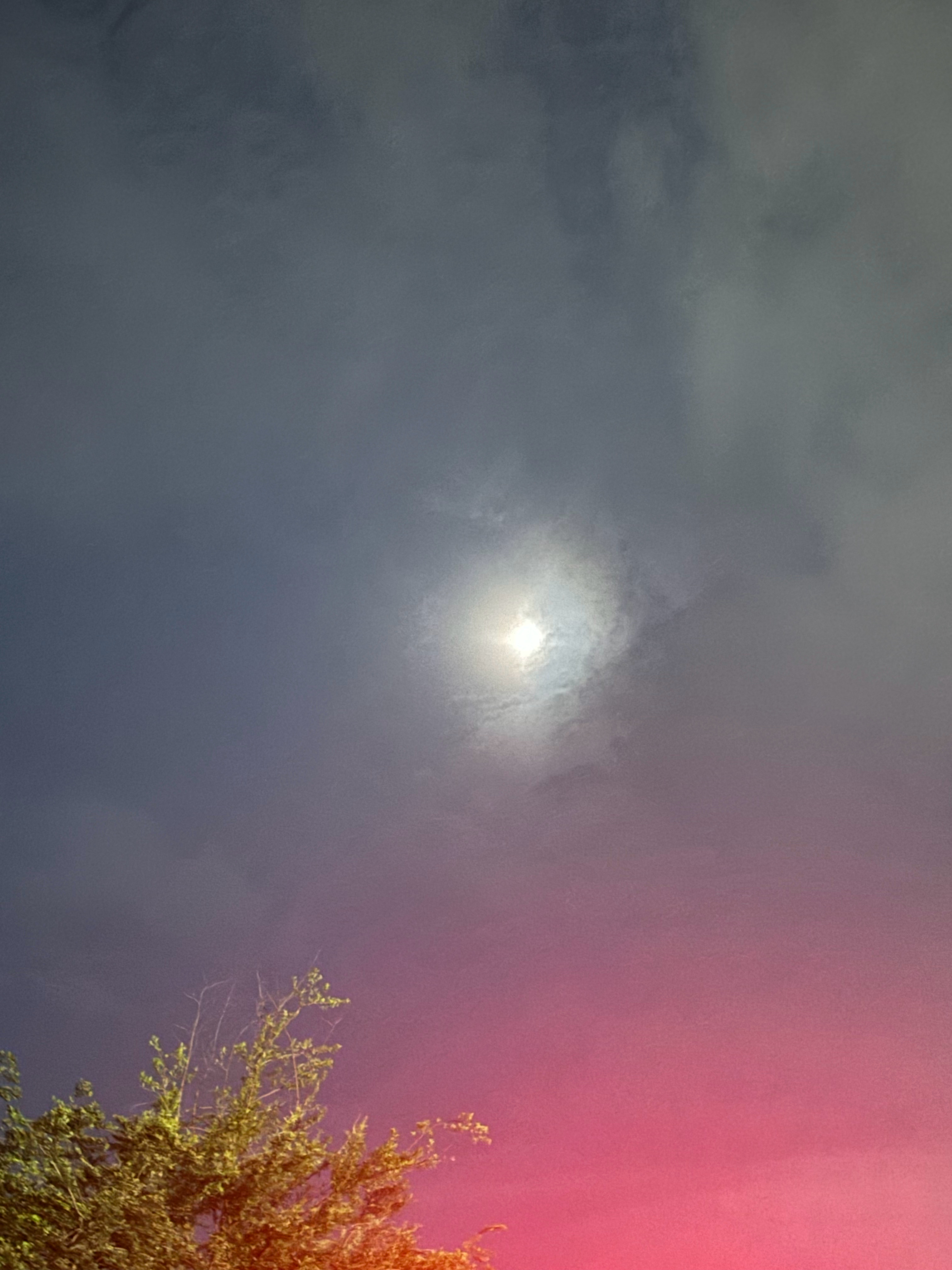 梅雨季什么时候才能过去丁程鑫 廿四星月筑桥赴鑫河