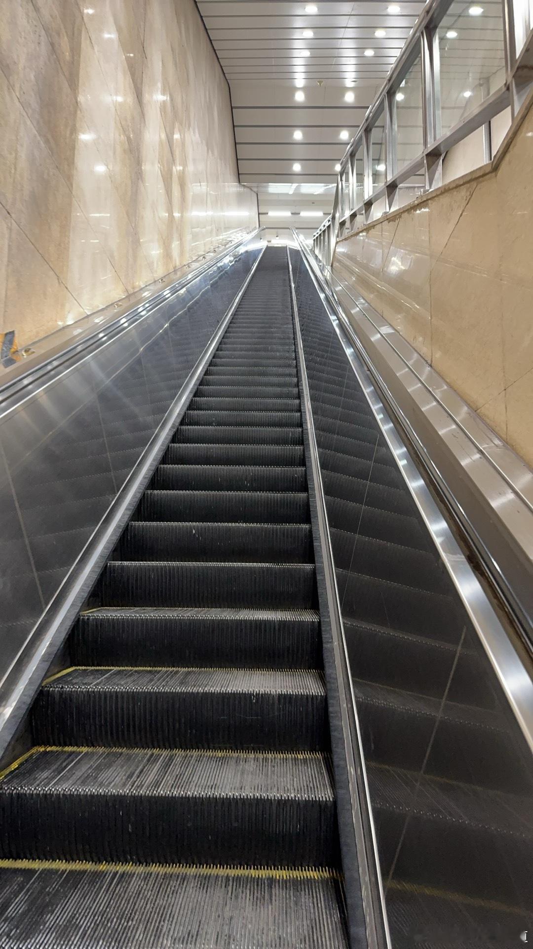 胖哥汽车频道 好家伙，赶上坐天梯了 生活碎片 我和汽车的日常