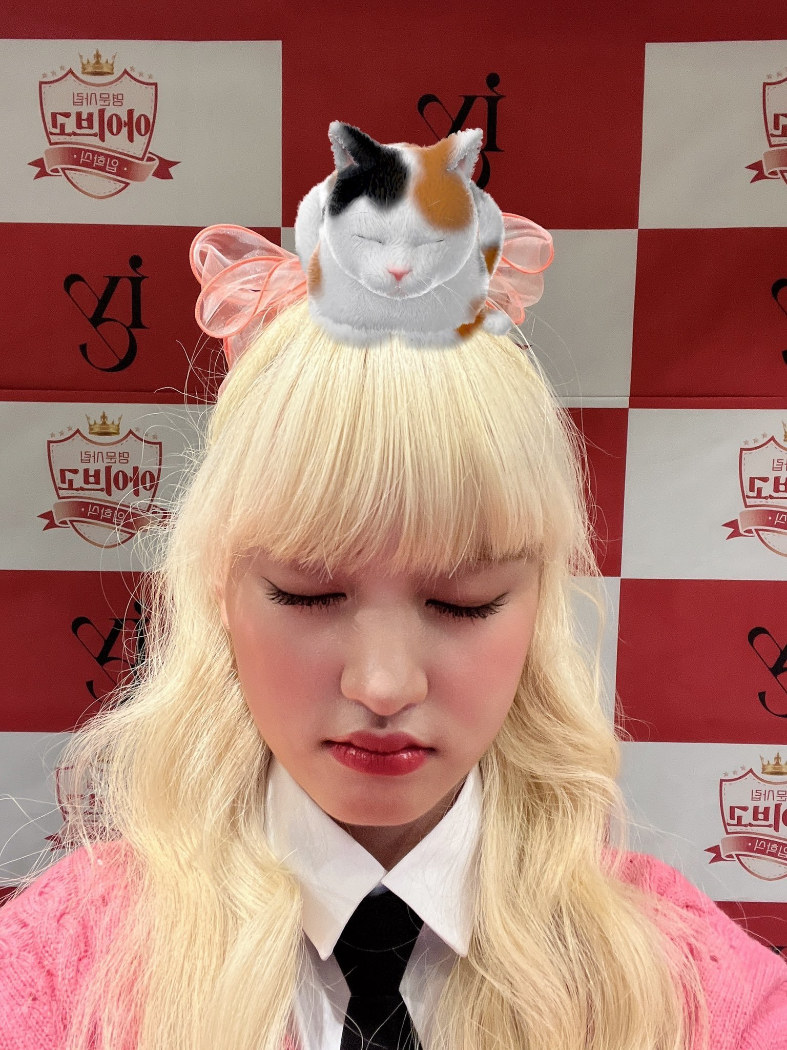 ive五团颜一 🌷ive五团一 🐱liz 211206【补档twi更新】li