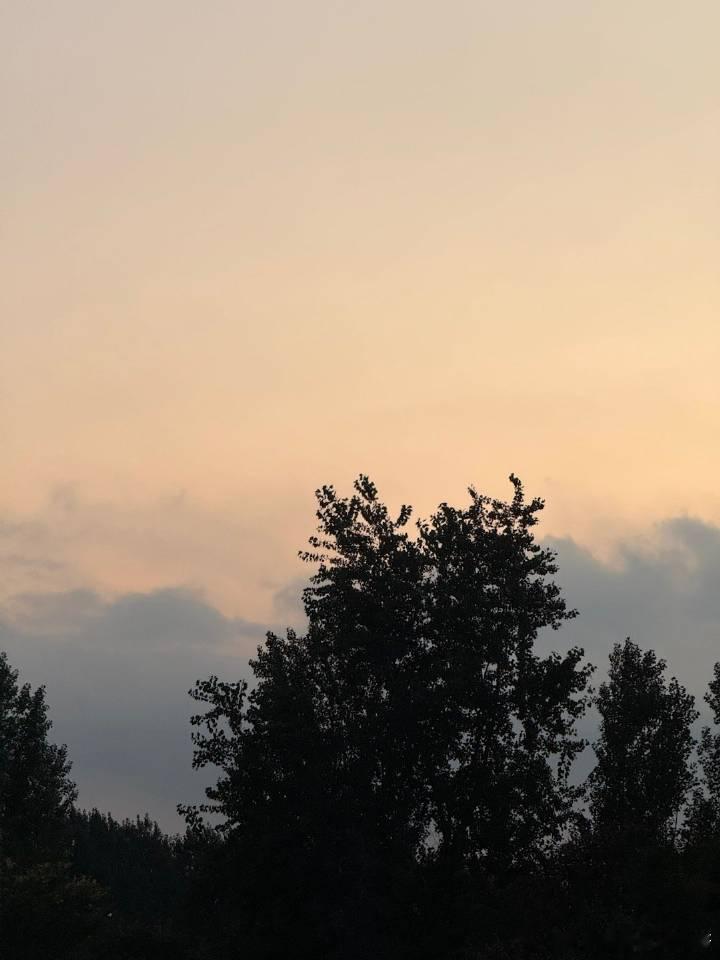 每日一善每日一善  心向暖阳在喧嚣中守护内心的清泉，于纷扰里浇灌灵魂的花园。心有