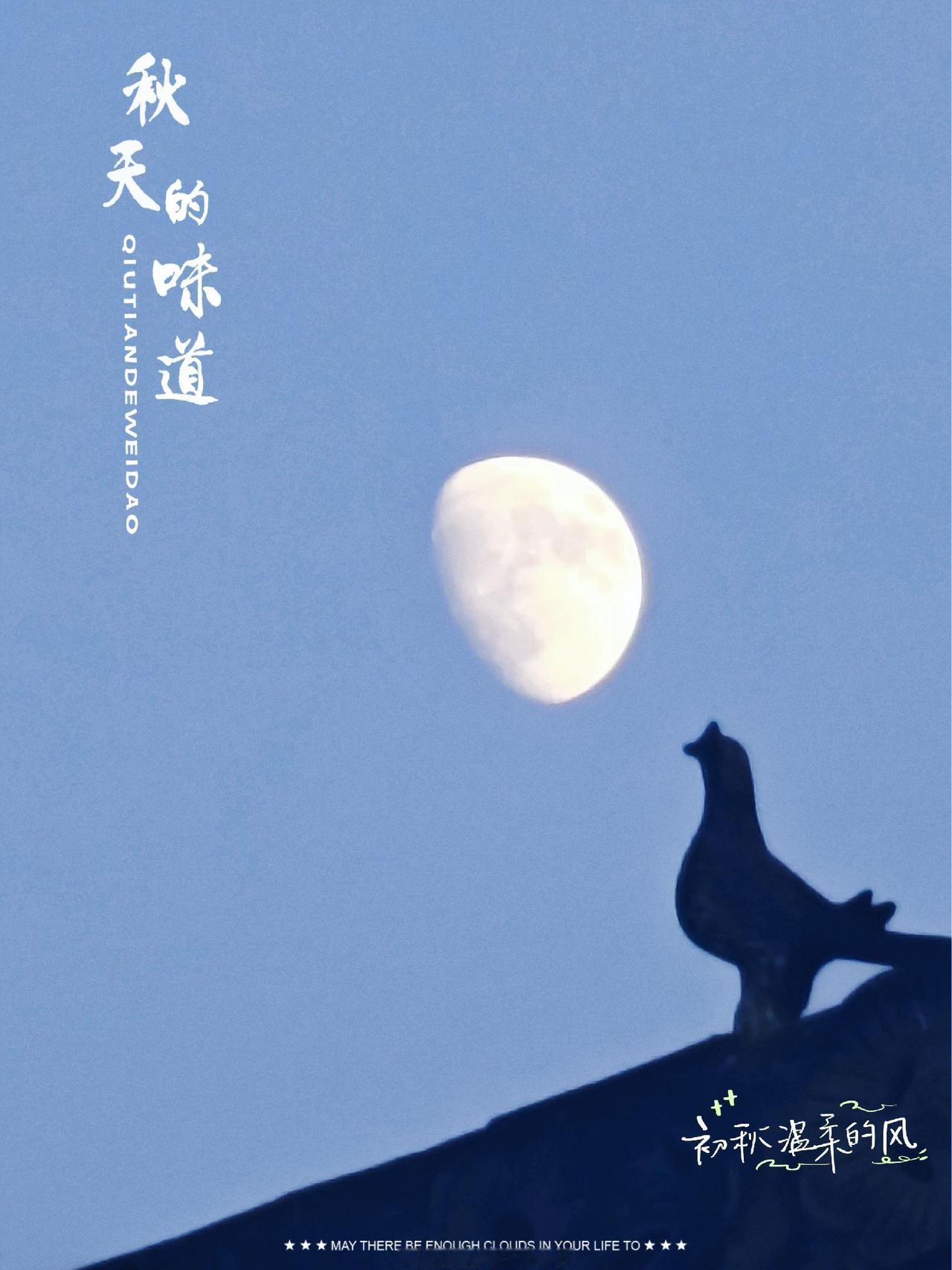 #一束光照亮你的美 #我用摄影看世界 #发现生活发现美 #静享时光