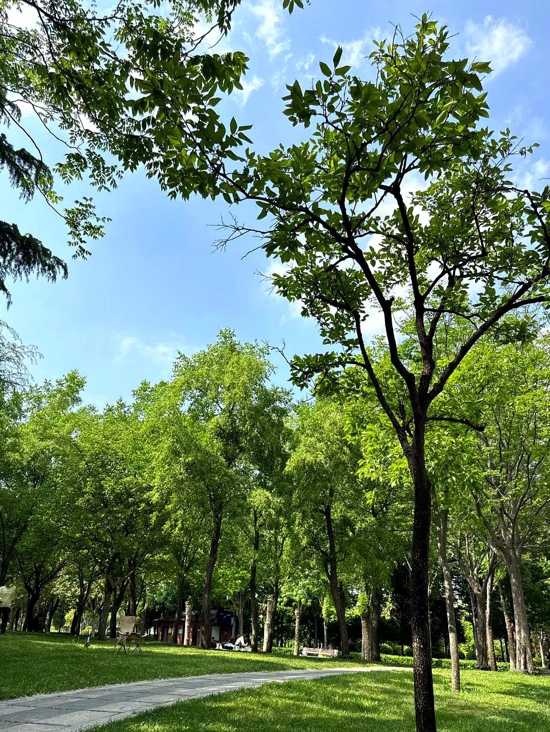 很多人真不是老了，是酒把身体拖垮了。男人一旦开始戒酒，变化有时候真挺明显。
我哥