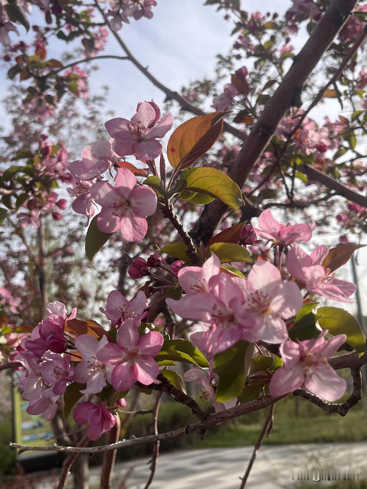 人群中
那匆匆的一瞥
唤醒彼此的世界
我在你的眼睛里
看不同的风景
你在我的眼睛