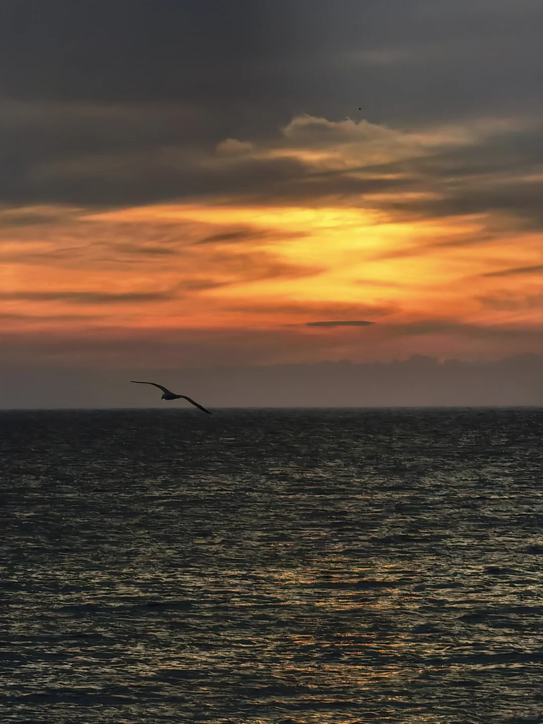 死海随便拍几张晚霞