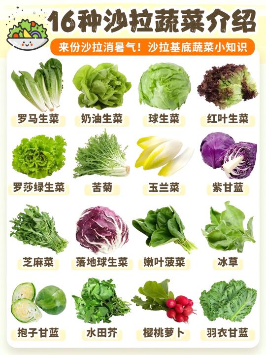 🥗沙拉党必存！16种神仙蔬菜指南✨