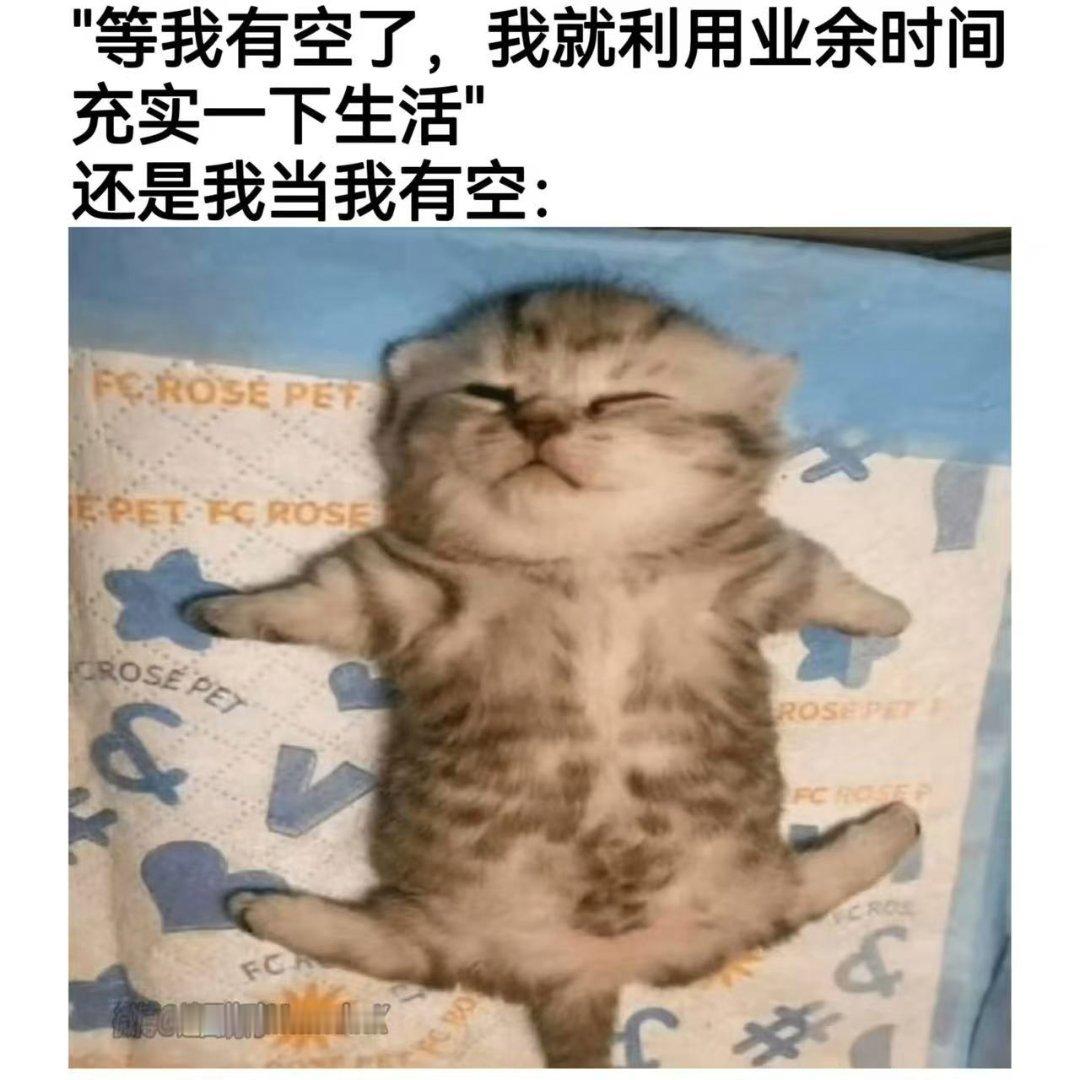 这就是我 