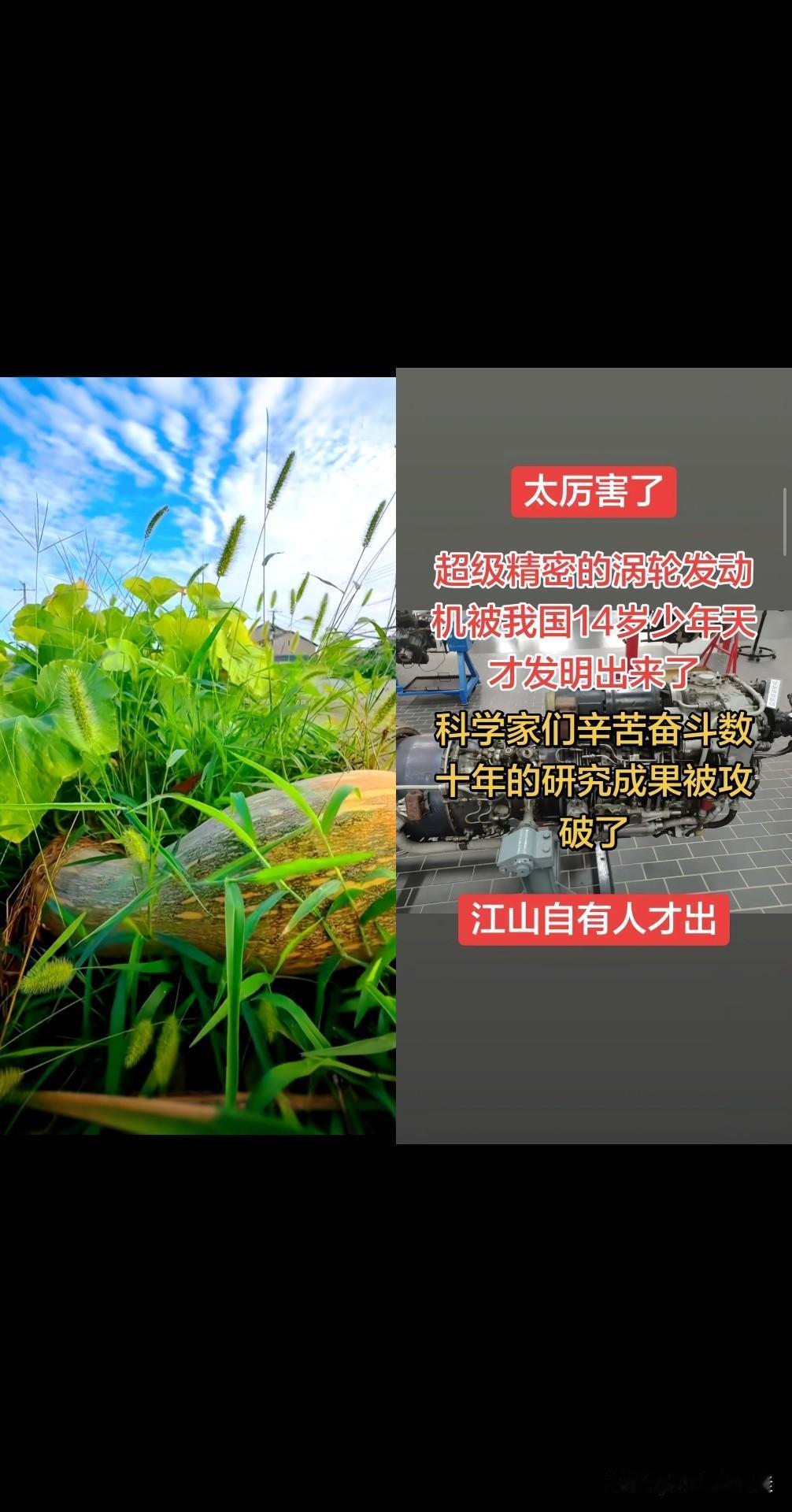 “自古英雄出少年！少年强则中国强”，这话一点不假。从古至今，少年英雄的事迹数不胜
