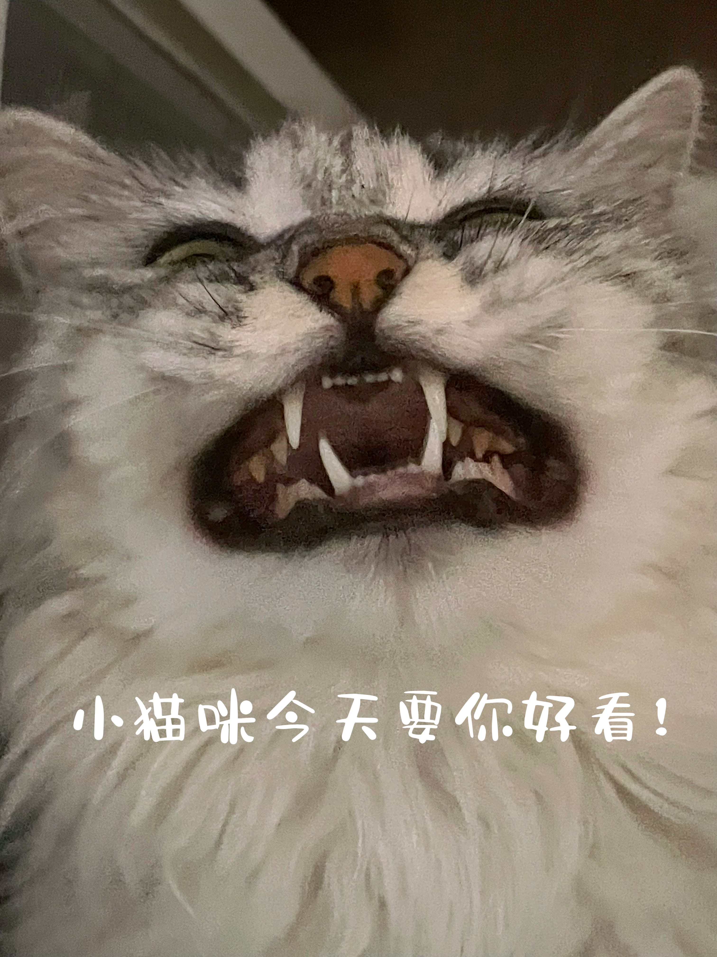 我积极上进，对爱真诚，所以我遇到了一个很好的人。——————————⚠️‼️⚠️