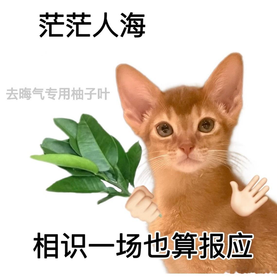 致不让江山