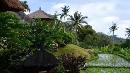 2023年，福建厦门一50岁男子带30岁女网友到农场玩，发生关系后男子太激动，结