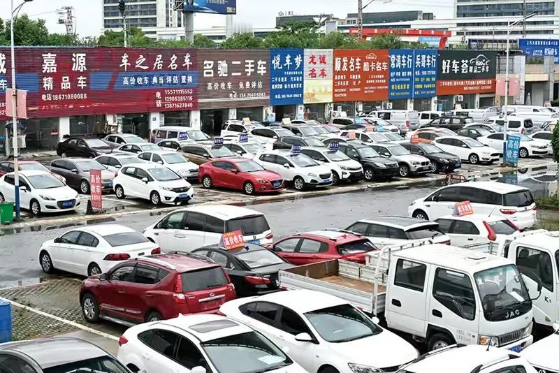 很多国产车在国内外的质量标准不一样，所以我建议国标的质量验收标准应该要向欧洲出口