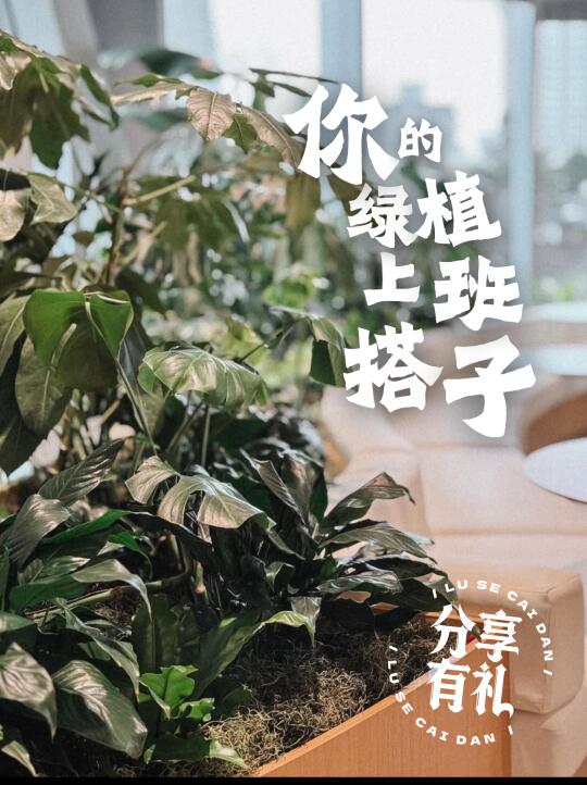 摸鱼浇花的快乐谁懂！