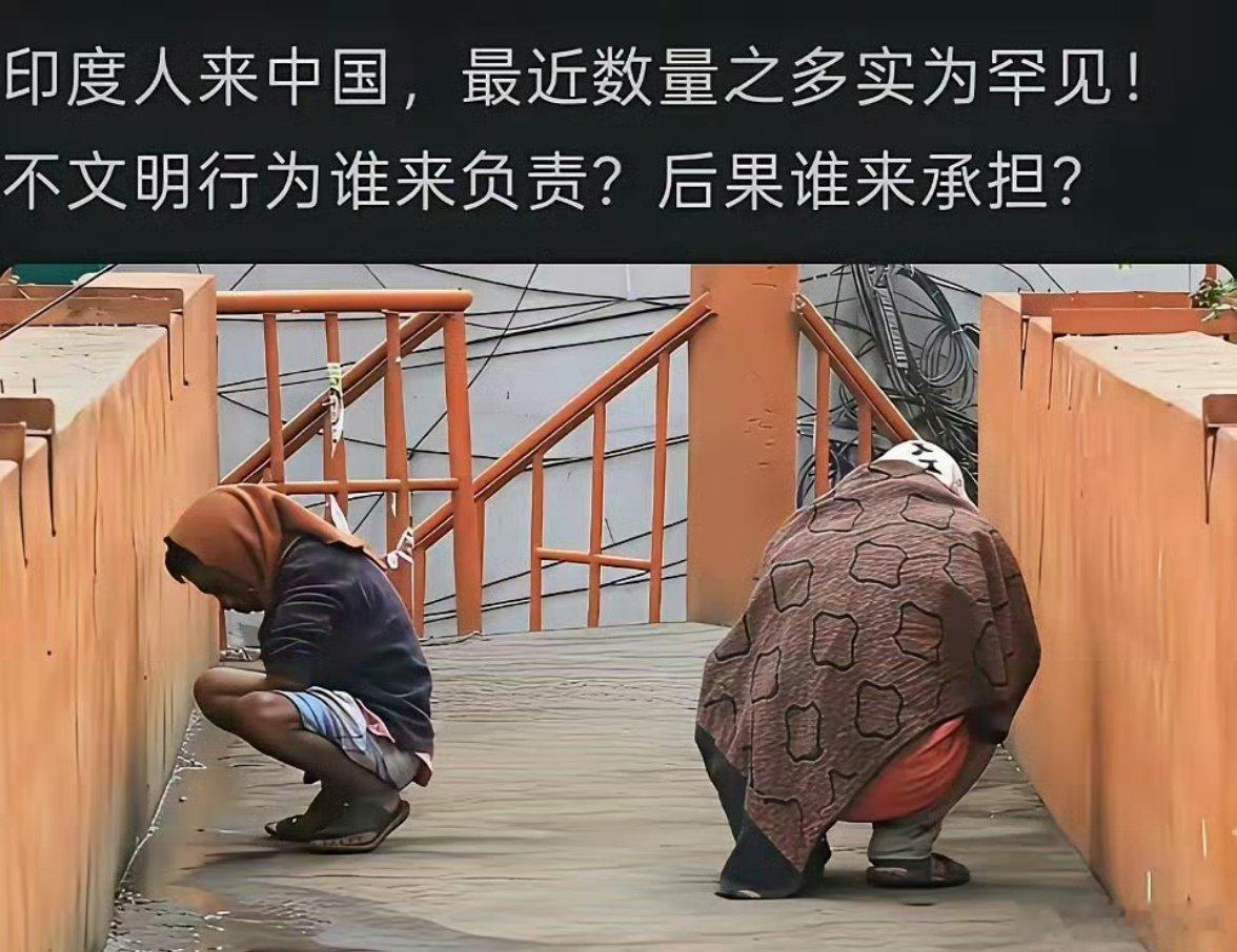 印度人来了！据说印度各种假文凭假学历随便造，形成一整套灰色产业链！造好了可以申请