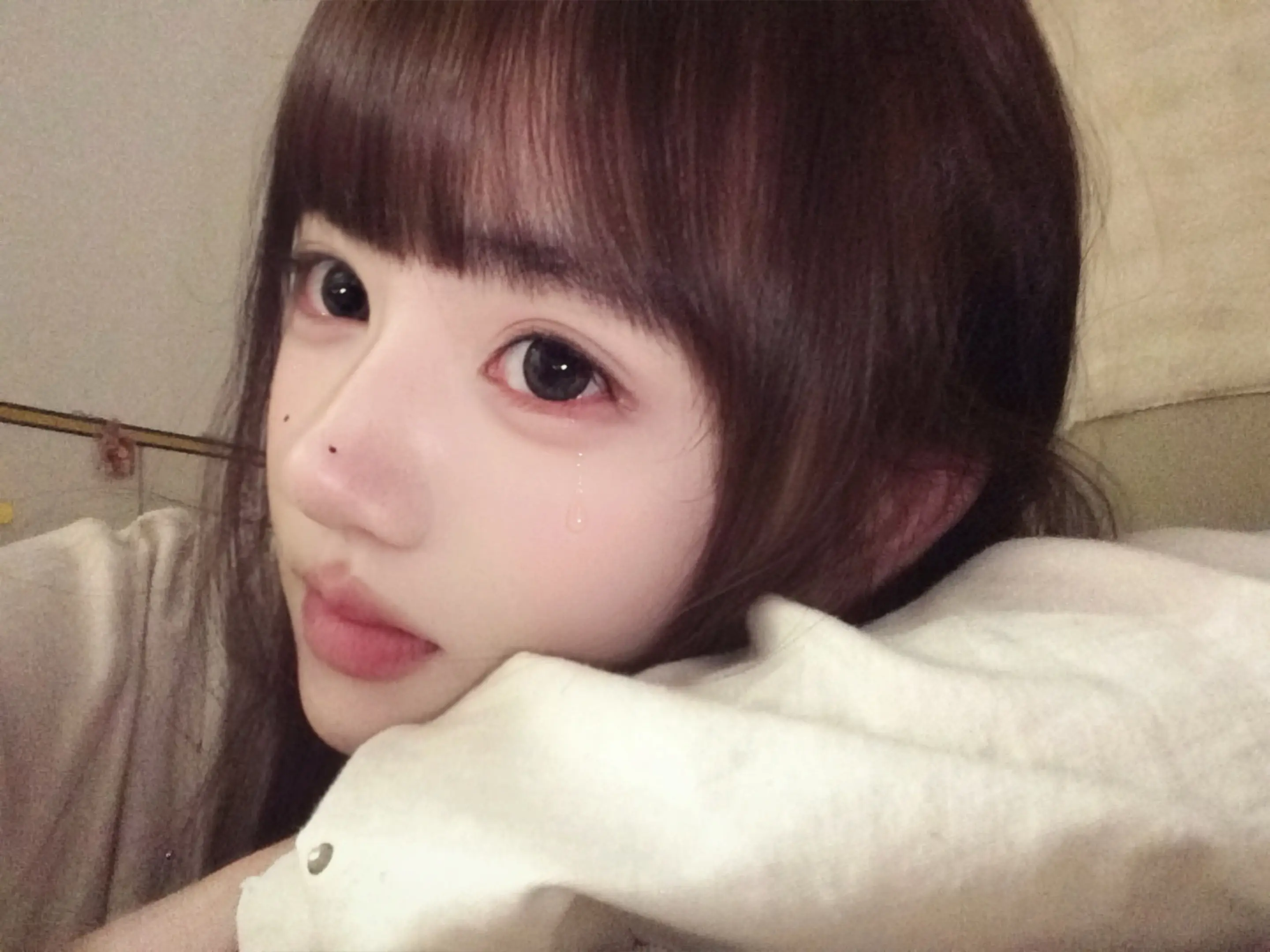 对你的感情 向上 成了谄媚 向下 成了眼泪