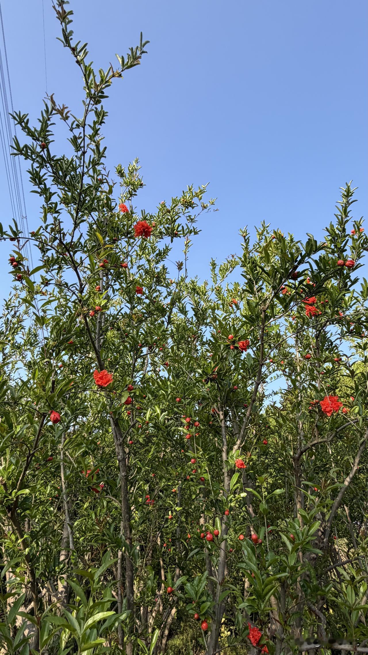 一不留神，又被锁在家门外，进不去屋子，这已是换成智能门锁后第 二次被锁在门外了。