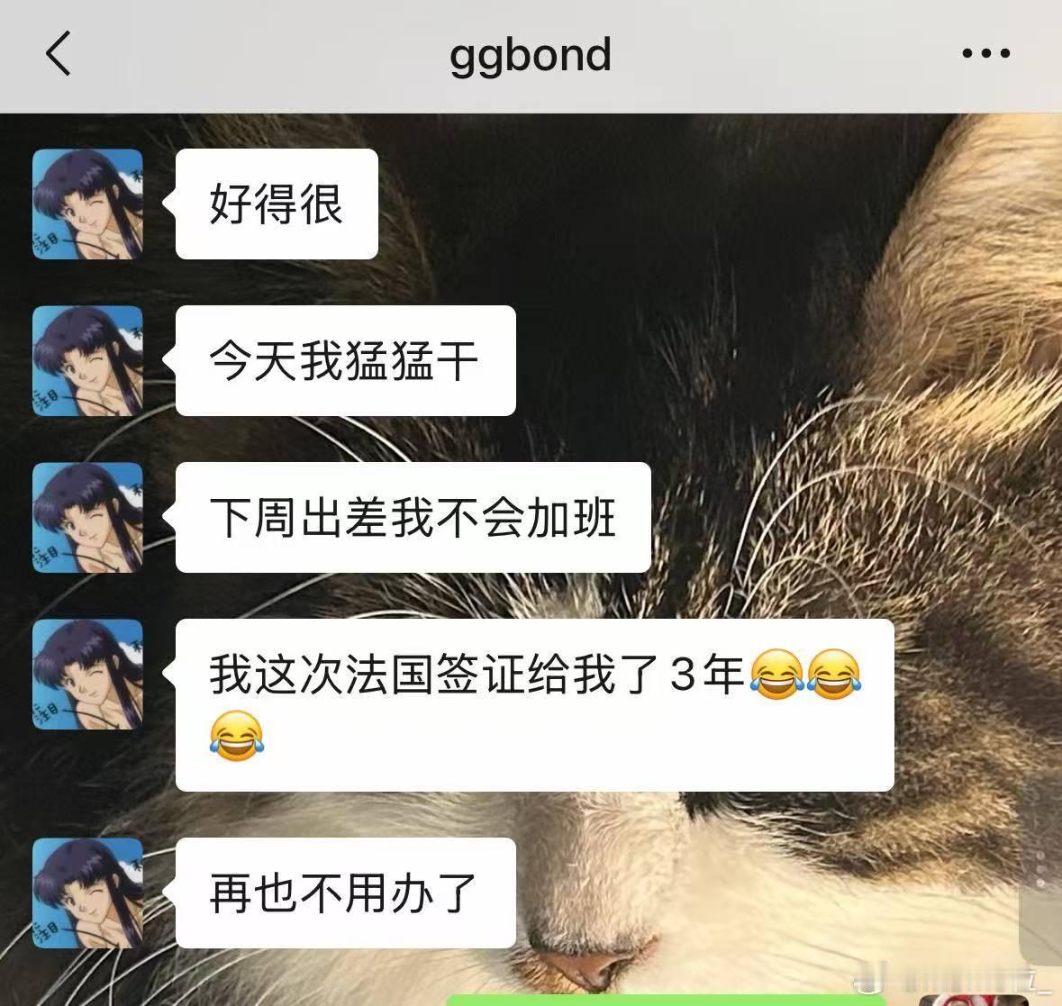 中国对俄罗斯试行免签 之前想去俄罗斯追极光，但是怕去了俄罗斯影响欧洲或者美国的签