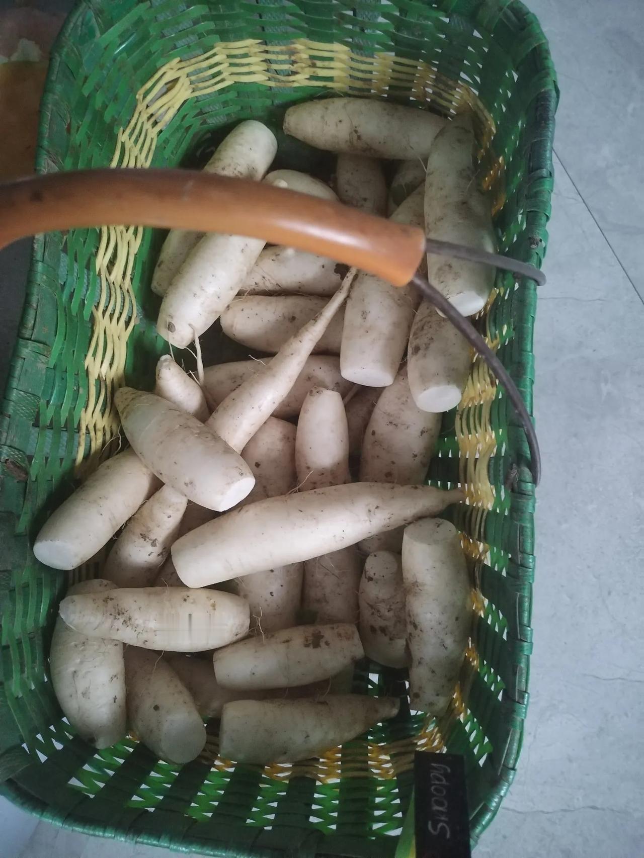 公公在小区门口摆摊卖菜帮我们还3000多块房贷，我看到公公不想打招呼，因为担心被