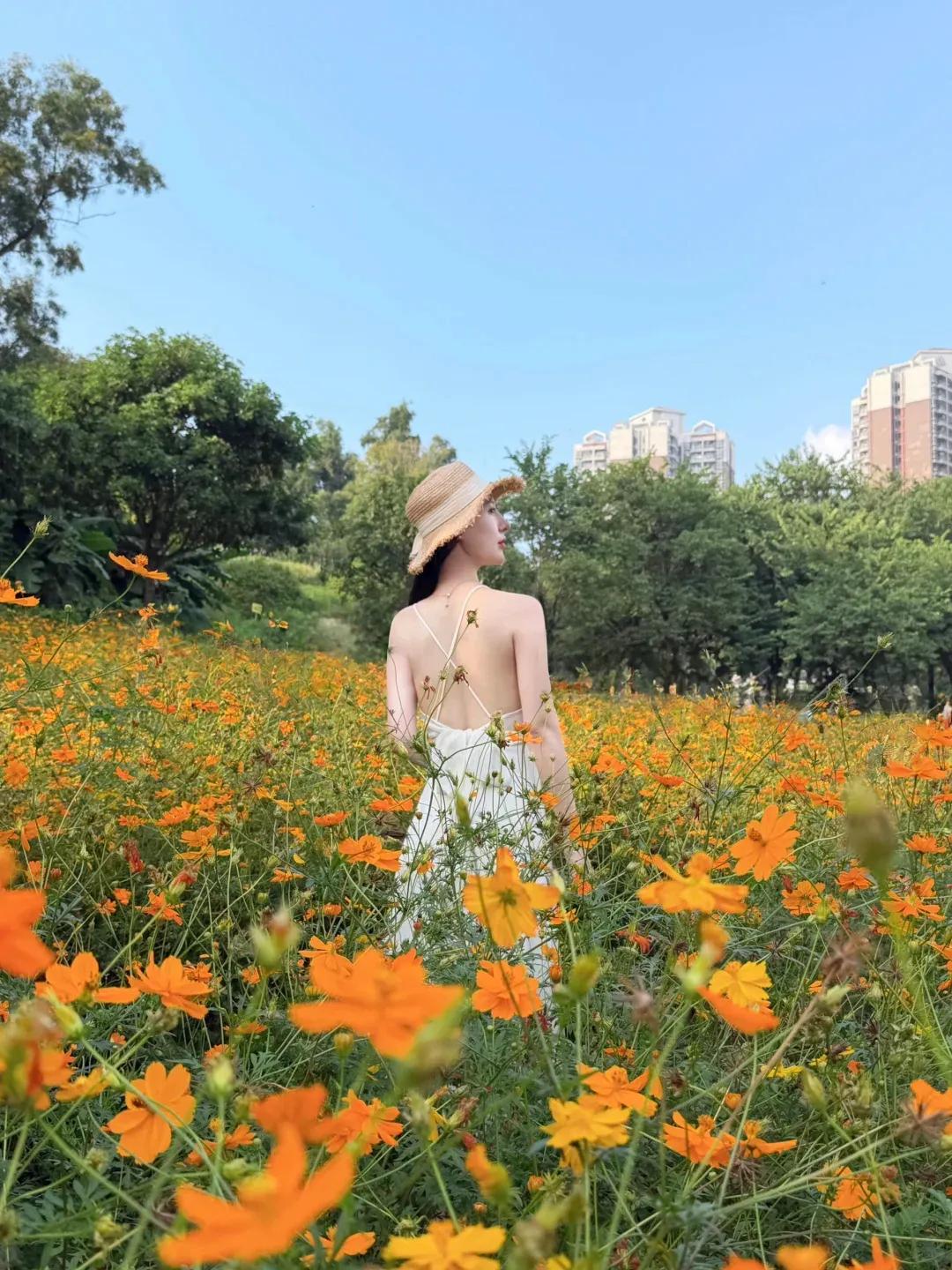 就这背，不能亲自拔罐，真是太可惜了