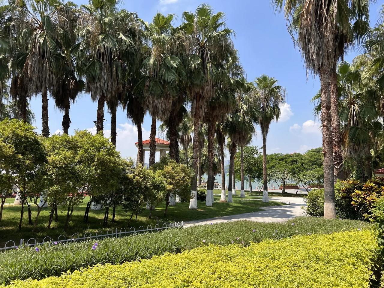 于海青：为何说去厦门鼓浪屿是一种约定？ 说起厦门鼓浪屿，很多人都不陌生，但有很多