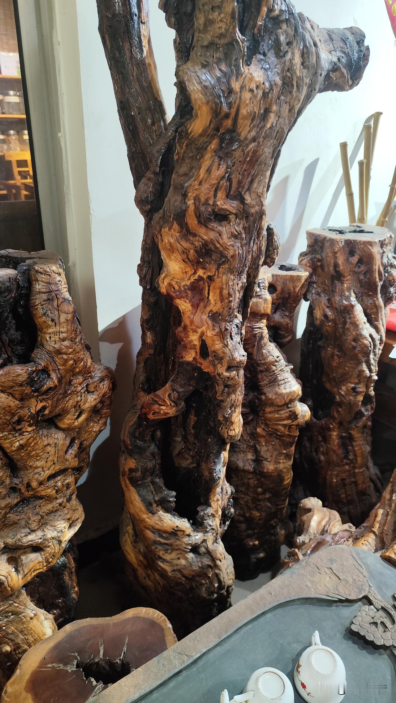 它们还是树的时候，遭了多大罪，才长成这样？