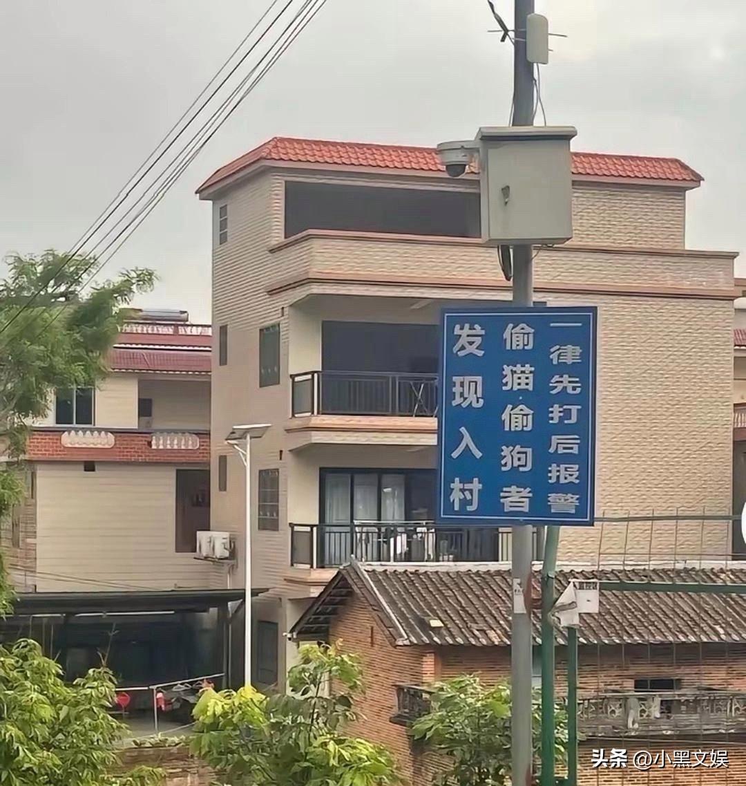 看来村里的狗没少丢啊！