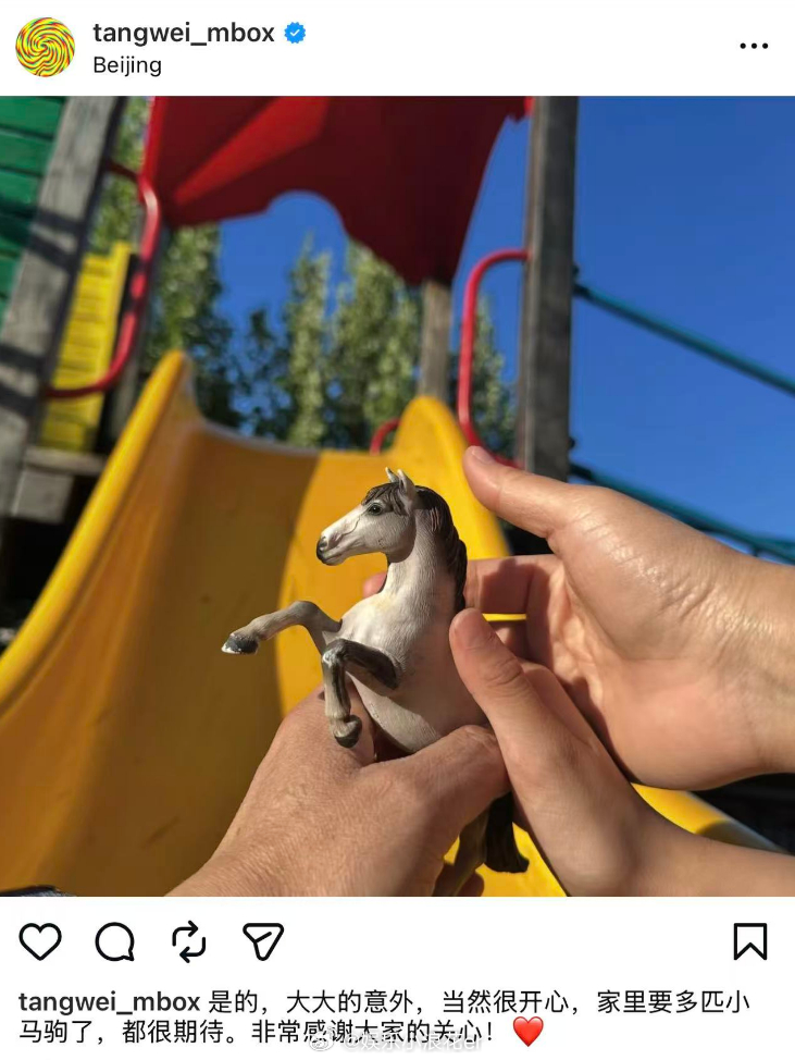 汤唯二胎是意外怀孕 汤唯在社交平台晒出一只小马驹照片宣布怀二胎喜讯：“是的，大大
