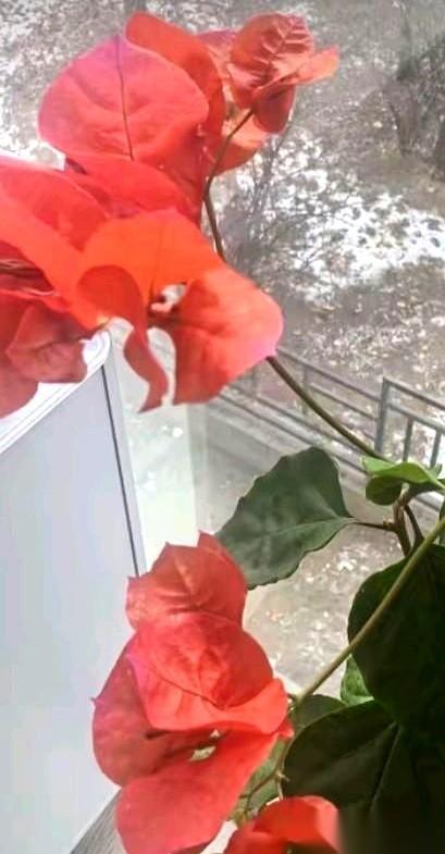 “一年30万。”
我把电话挂了，扭头看着饭桌对面的老公，整个屋子安静得只剩下他的