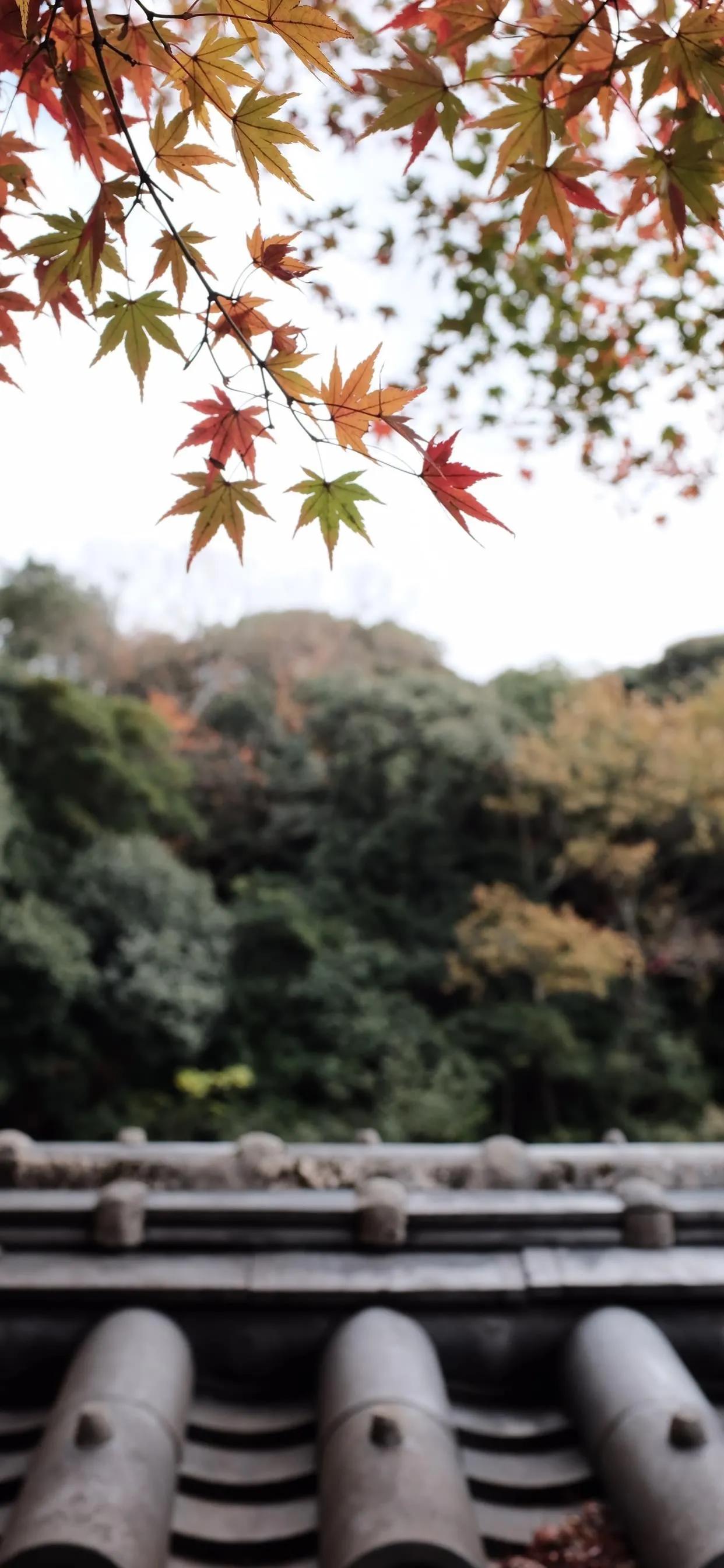 人家赚多少钱，做多大的事业，不要攀比，也不要羡慕。脚踏实地的做好自己的事情就行，