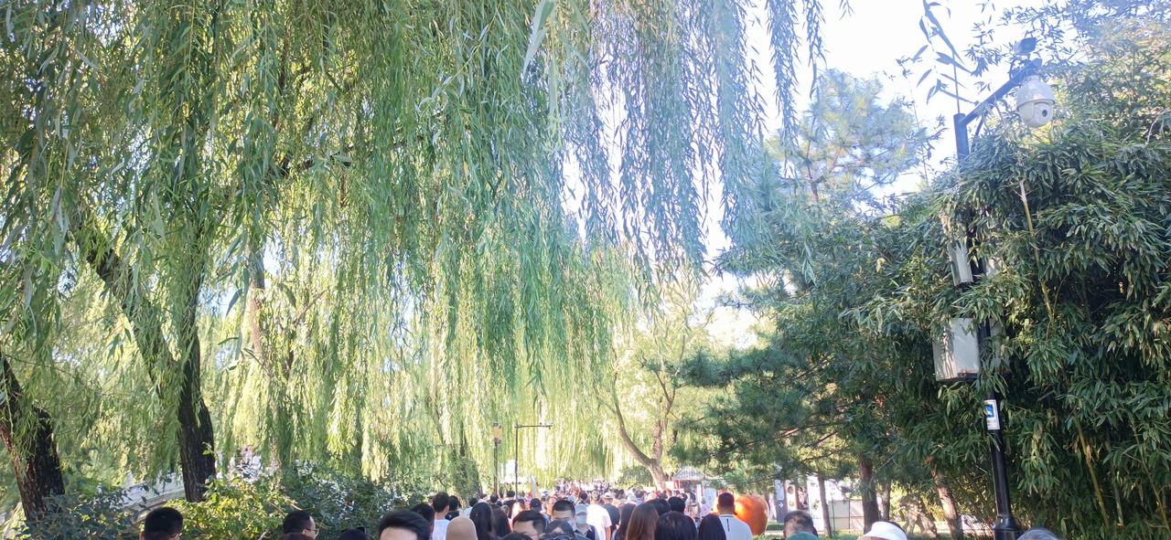 大家都精打细算了，圆明园平时人不多，今天国防教育日，免费一天，人山人海，全是人头