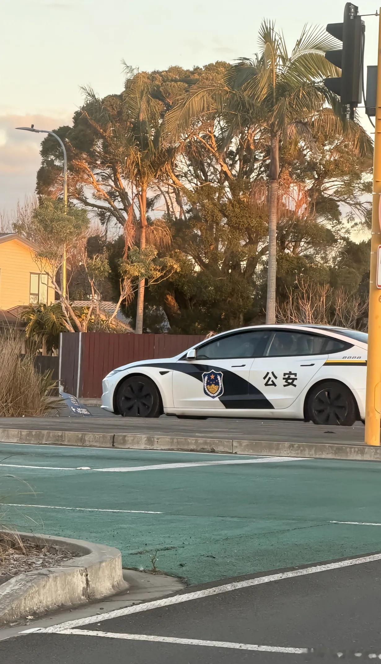 网友在新西兰街头的分享…… 