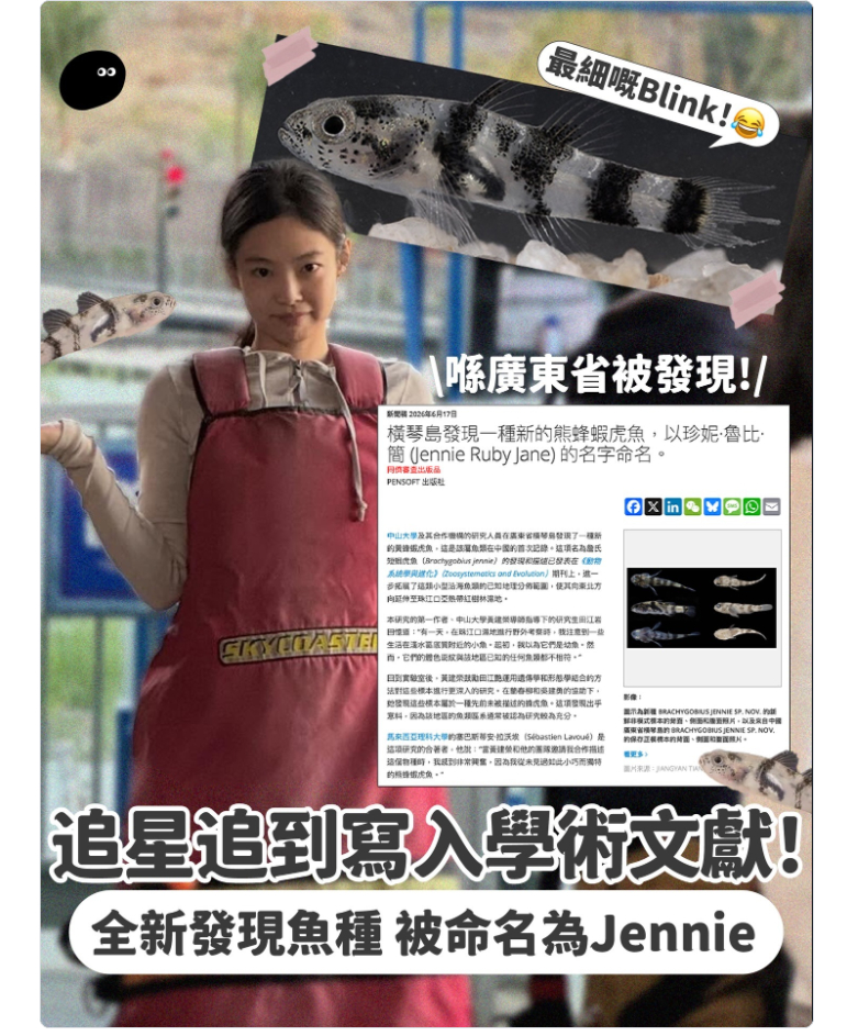 哈哈哈哈。全世界最“迷你”的鱼种以偶像命名😲！⟡你以为 JENNIE 的影响力