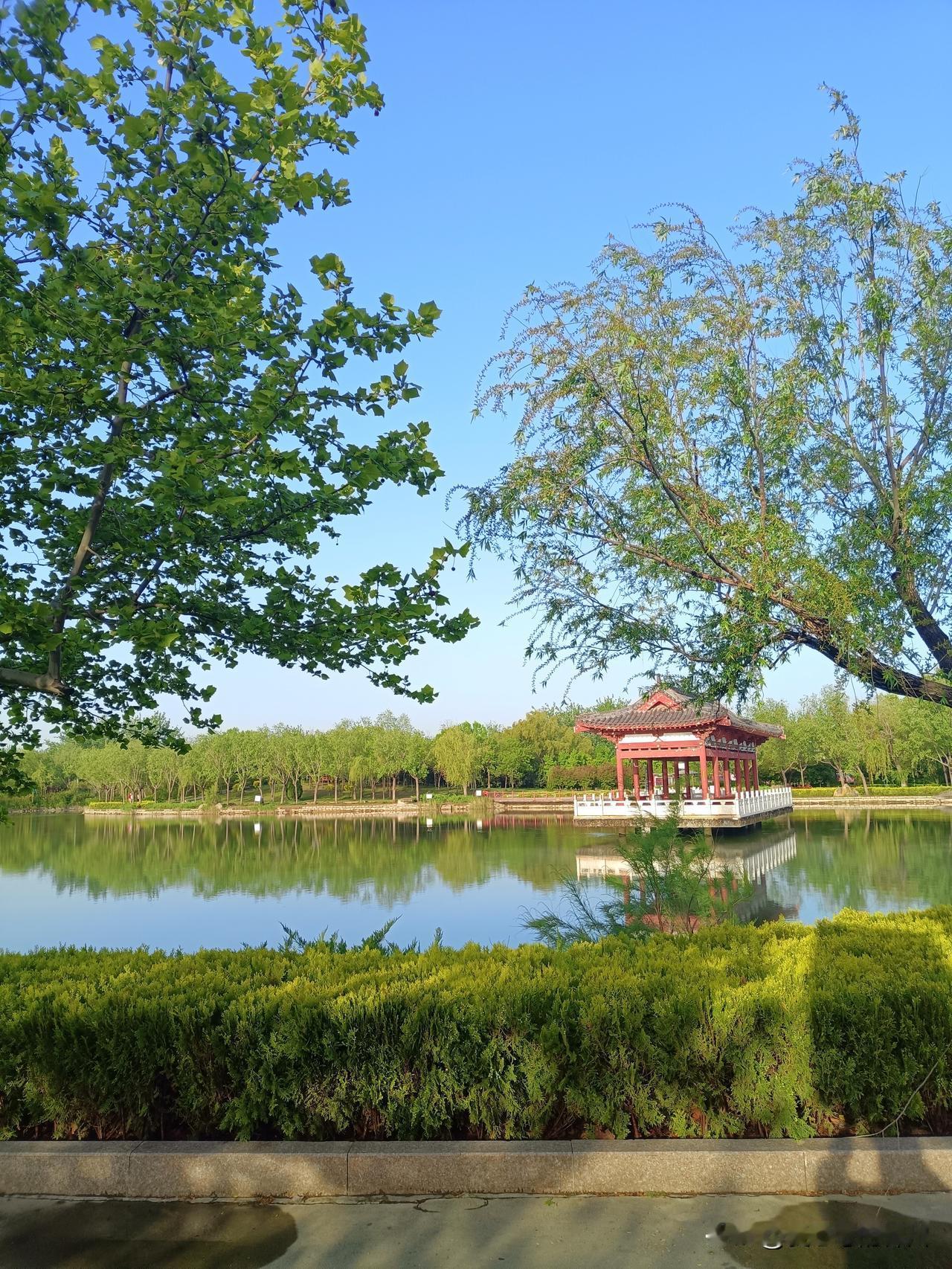 老许很犟。他听人说把灯泡放进嘴里会拿不出来。怎么会拿不来呢？他不信邪，于是就亲自