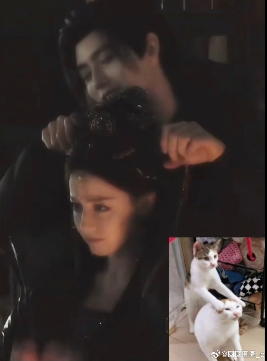 干嘛抓我们鬼王大人的牛角包！看到一张开喵托车的图，热巴简直太可爱了 