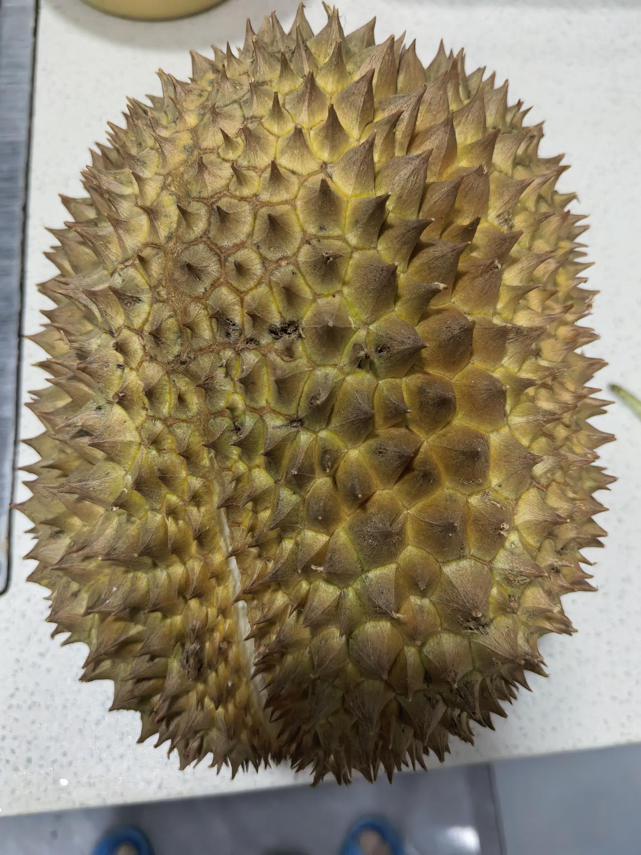 朋友送我一个金枕榴莲，带壳6斤不到一点点。

能出多少肉呢？我小心剥开，5房肉，
