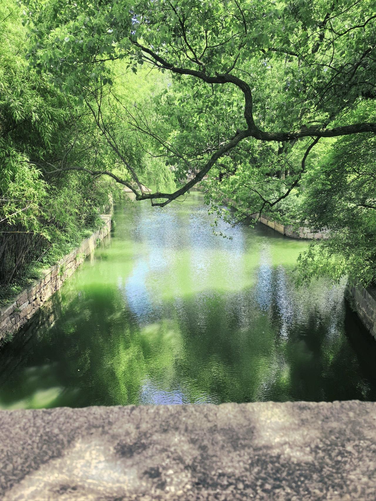 晒图笔记大赛