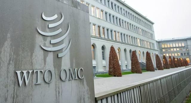 难怪中方持续冷落立陶宛，这一招令欧洲多国阴谋破产：姜还是老的辣！

欧盟在202