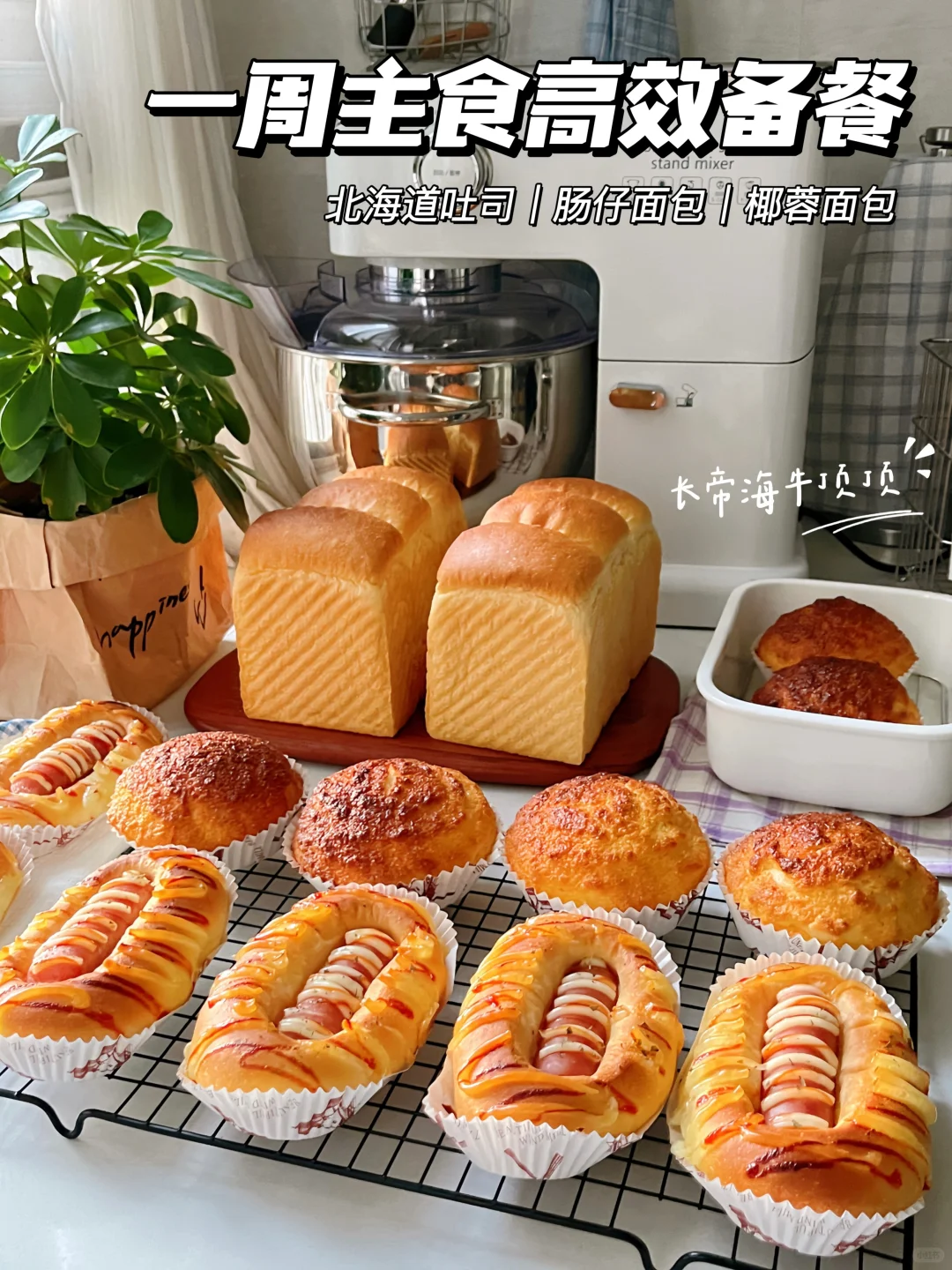 一周早餐✅厨师机轻松高效备餐🍞🌭