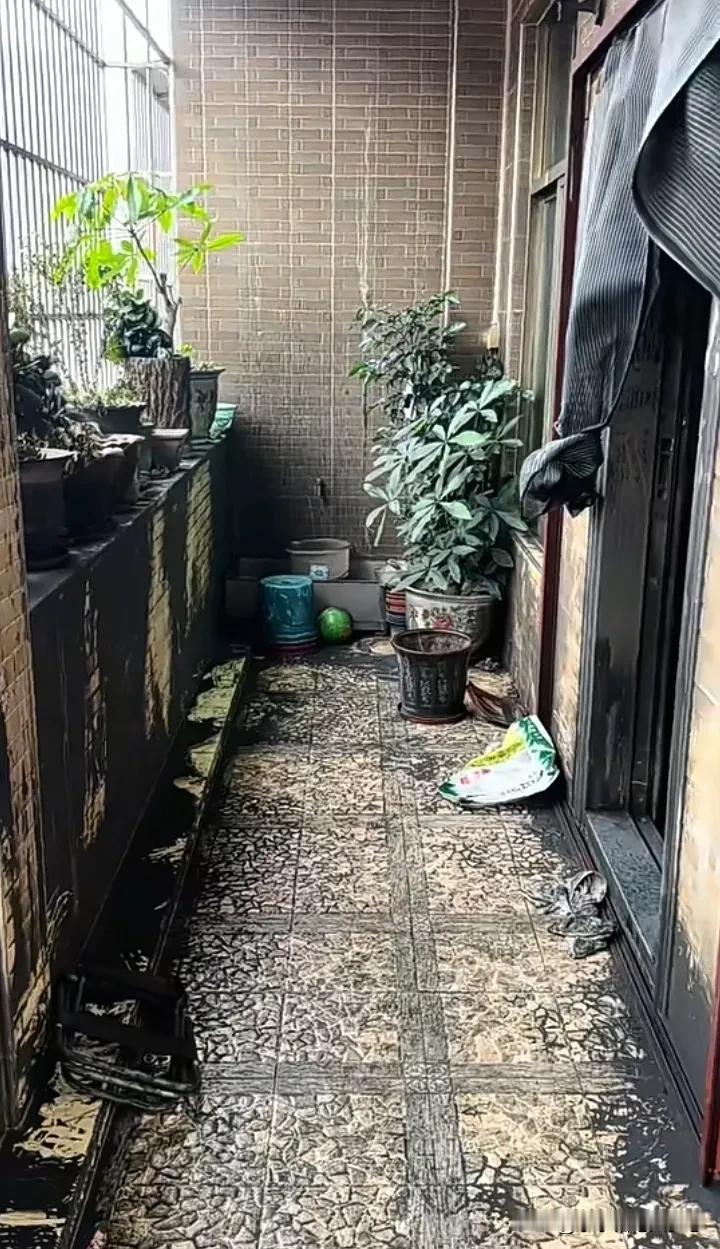 汕头五金铺火灾致12人遇难，灾后房子内部曝光，家具是完整的，植物也是存活的，但是