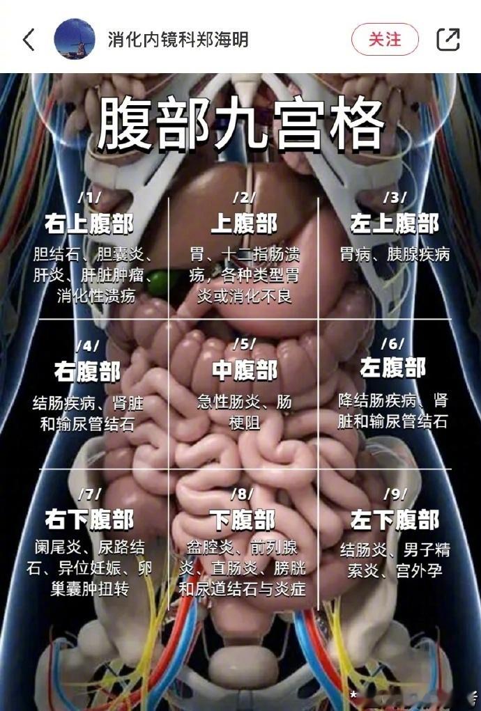 健康篇：「 肚子痛到底是哪里痛 」不同部位腹痛可能代表不同病症，一张图让你自查！