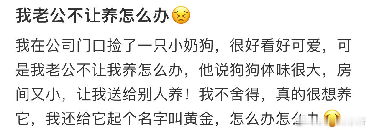 我老公不让养小狗怎么办[哆啦A梦害怕] ​​​