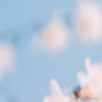 路，不通时，选择拐弯；心，不快时，选择看淡；情，渐远时，选择随意 