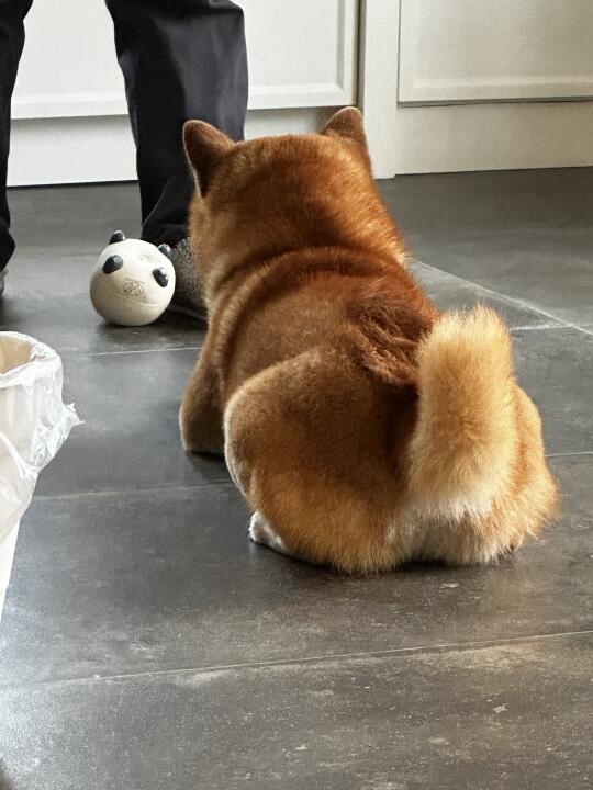虔诚等陪玩