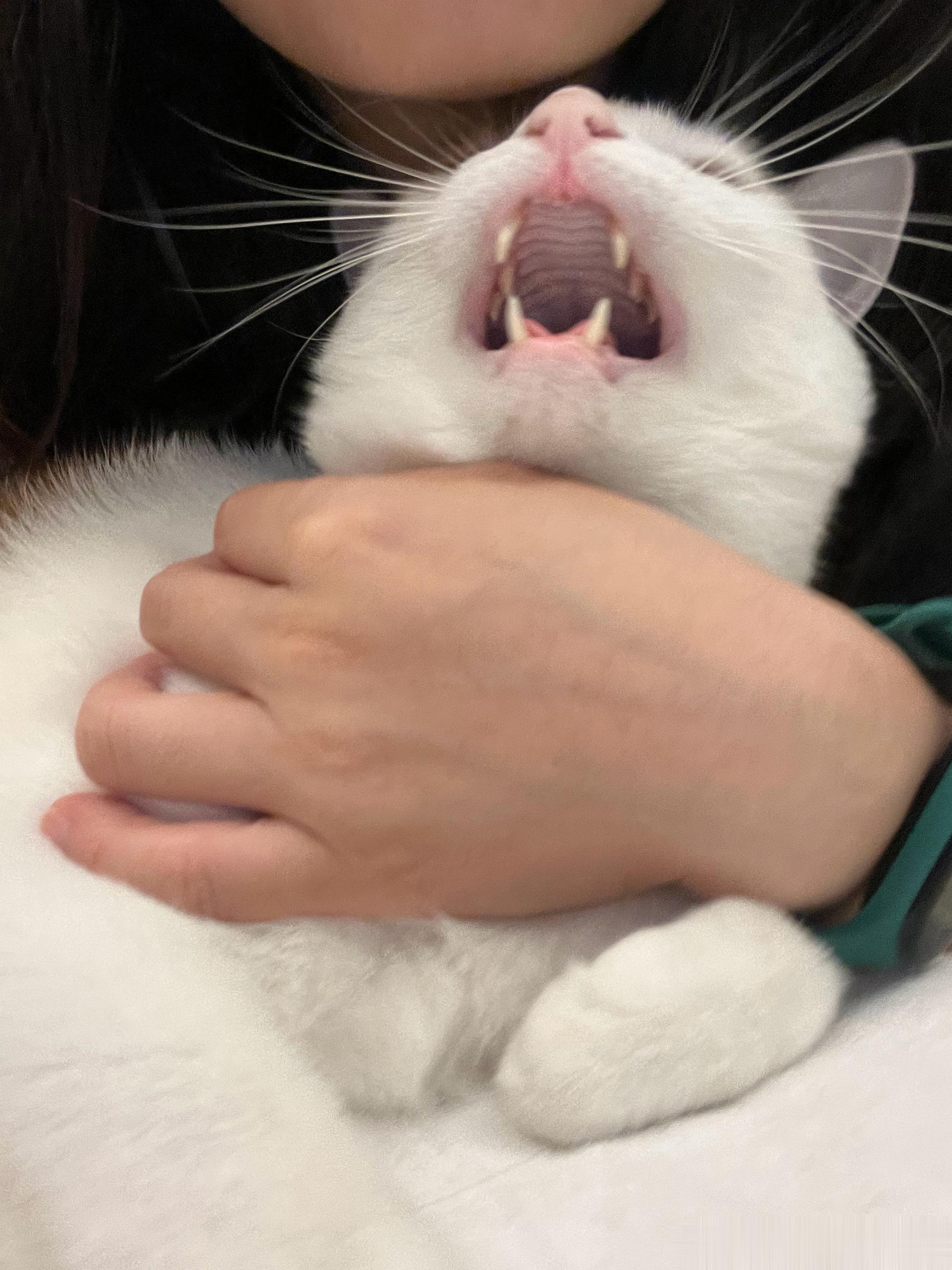 早早早！强扭的猴真甜！ ​​​