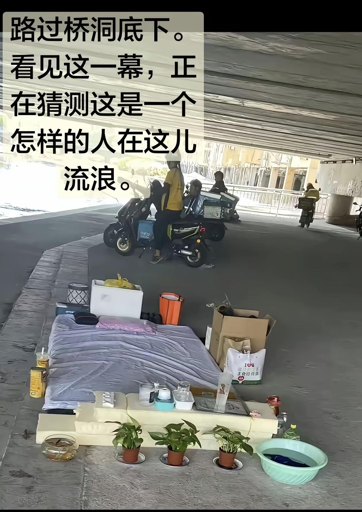 房子再便宜也不买。[赞]
让人佩服的哥们。
