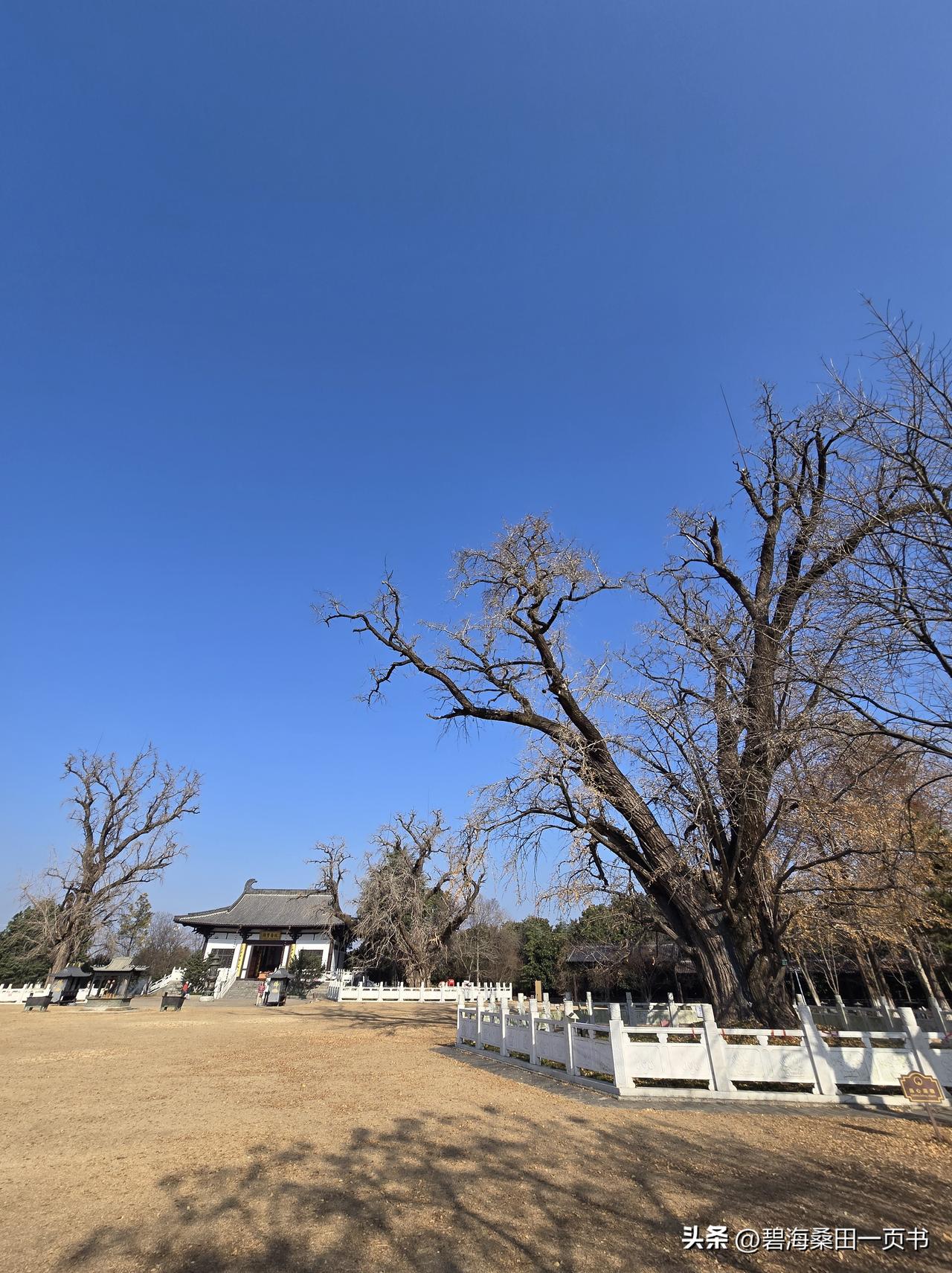 一大早接到又一位亲戚借钱的电话，整个人心情都不好了。

之前，也有朋友亲戚借钱，