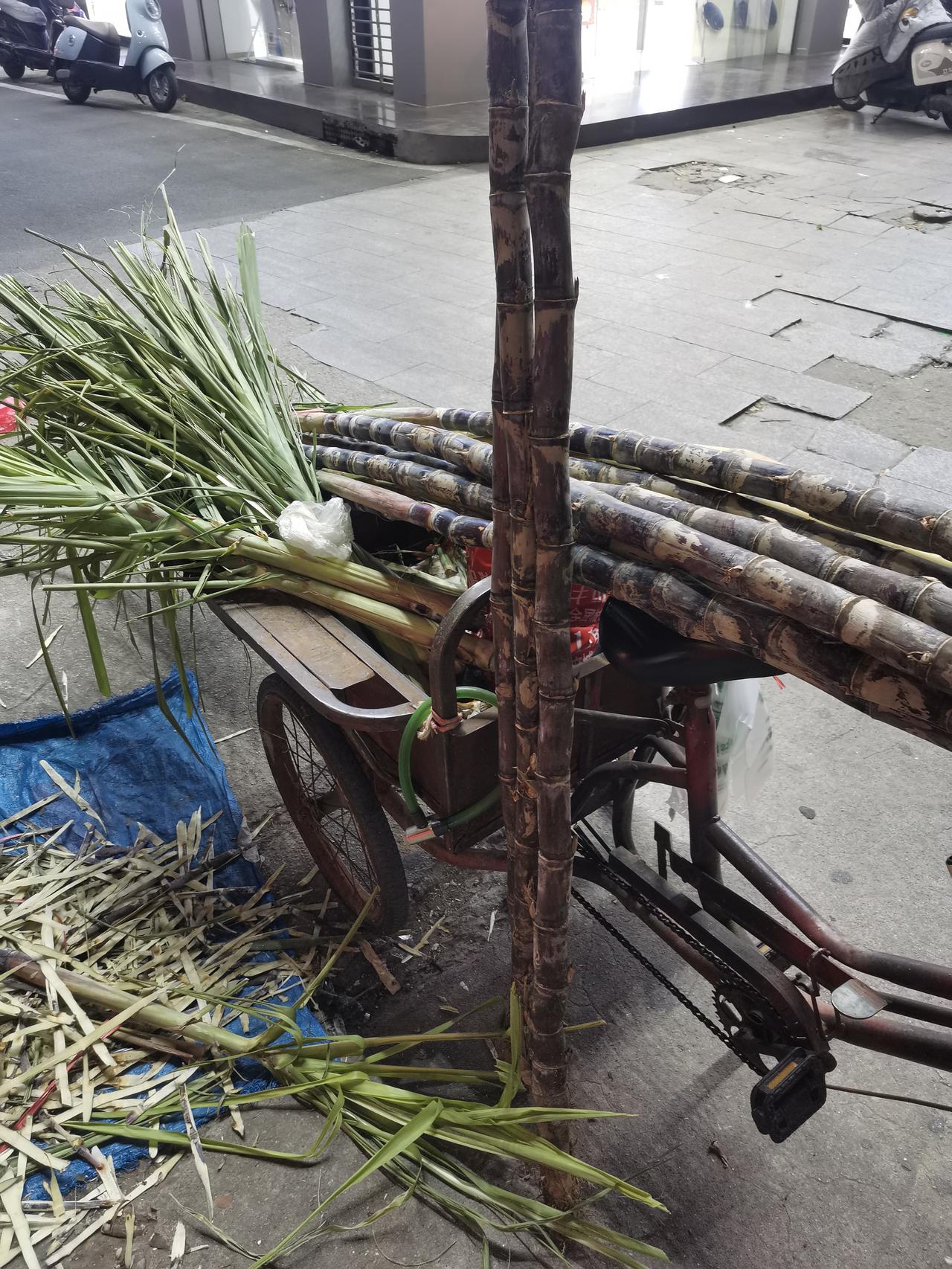 我为什么要买路边老奶奶的甘蔗？

晚上，将儿子送去英语补课班回来的路上，看到路边