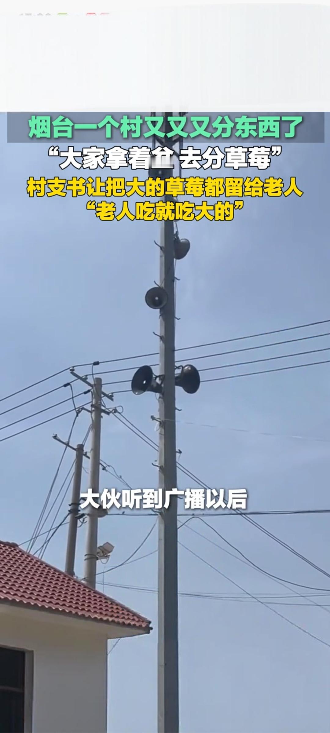 山东烟台一村庄暖心分草莓 村支书叮嘱大果优先给老人
 
4月16日，山东烟台某村