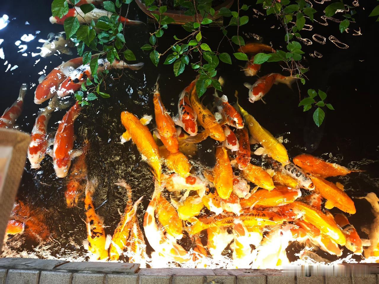 ❤️世界杯解说老哥天团各有绝活。贺炜是足球诗人，输球赢球都能说出戳心文案；詹俊语
