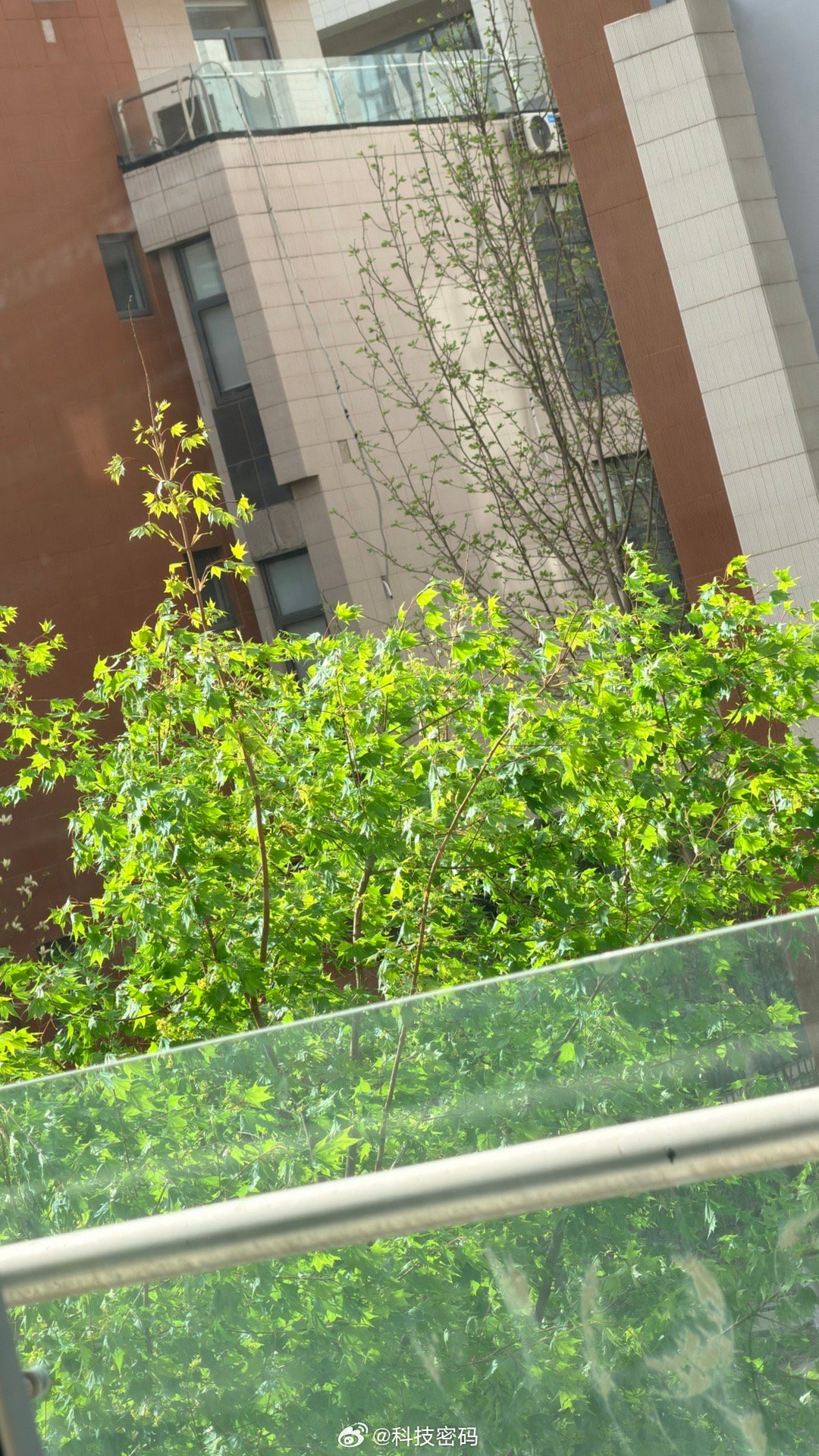 北京突来大风💨，很大的那种 