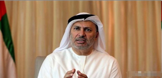 阿联酋总统顾问安瓦尔·加尔加什发表这份声明